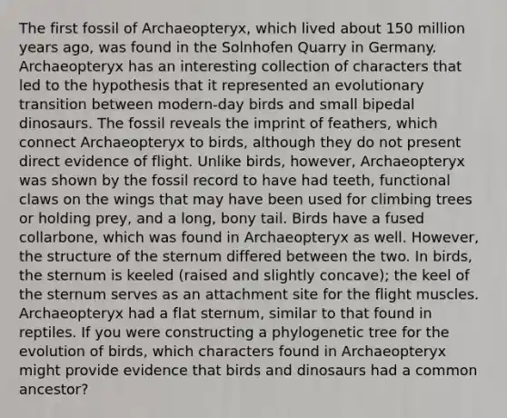 The first fossil of Archaeopteryx, which lived about 150 million years ago, was found in the Solnhofen Quarry in Germany. Archaeopteryx has an interesting collection of characters that led to the hypothesis that it represented an evolutionary transition between modern-day birds and small bipedal dinosaurs. The fossil reveals the imprint of feathers, which connect Archaeopteryx to birds, although they do not present direct evidence of flight. Unlike birds, however, Archaeopteryx was shown by the fossil record to have had teeth, functional claws on the wings that may have been used for climbing trees or holding prey, and a long, bony tail. Birds have a fused collarbone, which was found in Archaeopteryx as well. However, the structure of the sternum differed between the two. In birds, the sternum is keeled (raised and slightly concave); the keel of the sternum serves as an attachment site for the flight muscles. Archaeopteryx had a flat sternum, similar to that found in reptiles. If you were constructing a phylogenetic tree for the evolution of birds, which characters found in Archaeopteryx might provide evidence that birds and dinosaurs had a common ancestor?