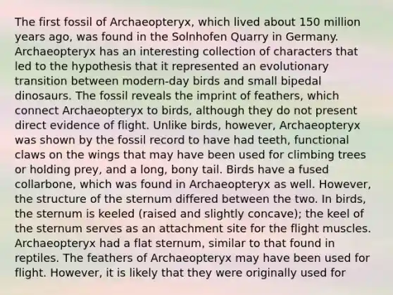The first fossil of Archaeopteryx, which lived about 150 million years ago, was found in the Solnhofen Quarry in Germany. Archaeopteryx has an interesting collection of characters that led to the hypothesis that it represented an evolutionary transition between modern-day birds and small bipedal dinosaurs. The fossil reveals the imprint of feathers, which connect Archaeopteryx to birds, although they do not present direct evidence of flight. Unlike birds, however, Archaeopteryx was shown by the fossil record to have had teeth, functional claws on the wings that may have been used for climbing trees or holding prey, and a long, bony tail. Birds have a fused collarbone, which was found in Archaeopteryx as well. However, the structure of the sternum differed between the two. In birds, the sternum is keeled (raised and slightly concave); the keel of the sternum serves as an attachment site for the flight muscles. Archaeopteryx had a flat sternum, similar to that found in reptiles. The feathers of Archaeopteryx may have been used for flight. However, it is likely that they were originally used for