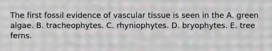 The first fossil evidence of vascular tissue is seen in the A. green algae. B. tracheophytes. C. rhyniophytes. D. bryophytes. E. tree ferns.