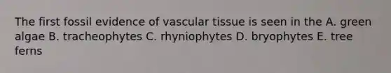 The first fossil evidence of <a href='https://www.questionai.com/knowledge/k1HVFq17mo-vascular-tissue' class='anchor-knowledge'>vascular tissue</a> is seen in the A. green algae B. tracheophytes C. rhyniophytes D. bryophytes E. tree ferns