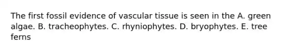 The first fossil evidence of <a href='https://www.questionai.com/knowledge/k1HVFq17mo-vascular-tissue' class='anchor-knowledge'>vascular tissue</a> is seen in the A. green algae. B. tracheophytes. C. rhyniophytes. D. bryophytes. E. tree ferns