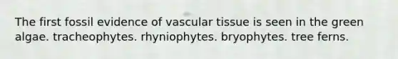 The first fossil evidence of vascular tissue is seen in the green algae. tracheophytes. rhyniophytes. bryophytes. tree ferns.