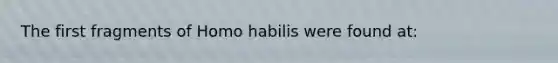 The first fragments of Homo habilis were found at: