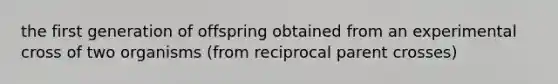 the first generation of offspring obtained from an experimental cross of two organisms (from reciprocal parent crosses)