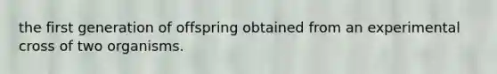 the first generation of offspring obtained from an experimental cross of two organisms.