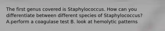 The first genus covered is Staphylococcus. How can you differentiate between different species of Staphylococcus? A.perform a coagulase test B. look at hemolytic patterns