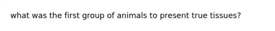 what was the first group of animals to present true tissues?