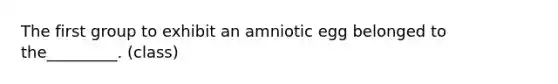 The first group to exhibit an amniotic egg belonged to the_________. (class)