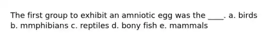 The first group to exhibit an amniotic egg was the ____. a. birds b. mmphibians c. reptiles d. bony fish e. mammals