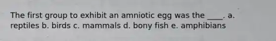 The first group to exhibit an amniotic egg was the ____.​ a. ​reptiles b. ​birds c. ​mammals d. ​bony fish e. ​amphibians