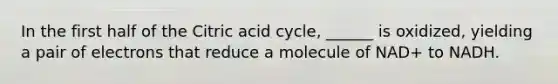 In the first half of the Citric acid cycle, ______ is oxidized, yielding a pair of electrons that reduce a molecule of NAD+ to NADH.