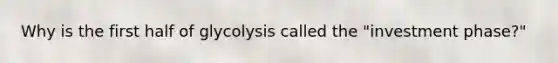 Why is the first half of glycolysis called the "investment phase?"