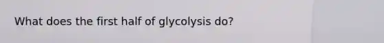 What does the first half of glycolysis do?