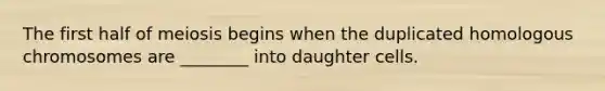 The first half of meiosis begins when the duplicated homologous chromosomes are ________ into daughter cells.