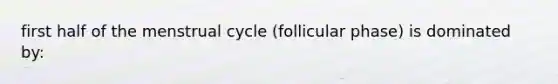 first half of the menstrual cycle (follicular phase) is dominated by: