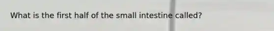 What is the first half of the small intestine called?