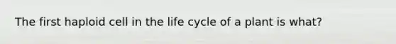 The first haploid cell in the life cycle of a plant is what?