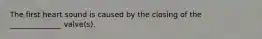 The first heart sound is caused by the closing of the ______________ valve(s).