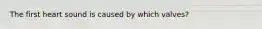The first heart sound is caused by which valves?