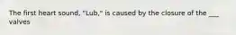 The first heart sound, "Lub," is caused by the closure of the ___ valves