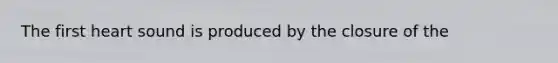 The first heart sound is produced by the closure of the