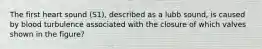 The first heart sound (S1), described as a lubb sound, is caused by blood turbulence associated with the closure of which valves shown in the figure?