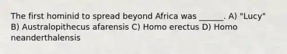 The first hominid to spread beyond Africa was ______. A) "Lucy" B) Australopithecus afarensis C) Homo erectus D) Homo neanderthalensis