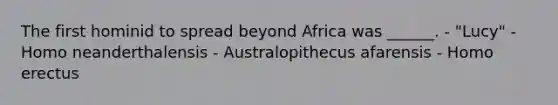 The first hominid to spread beyond Africa was ______. - "Lucy" - Homo neanderthalensis - Australopithecus afarensis - Homo erectus