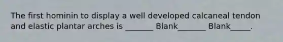 The first hominin to display a well developed calcaneal tendon and elastic plantar arches is _______ Blank_______ Blank_____.