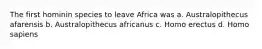 The first hominin species to leave Africa was a. Australopithecus afarensis b. Australopithecus africanus c. Homo erectus d. Homo sapiens