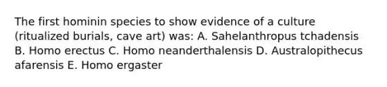 The first hominin species to show evidence of a culture (ritualized burials, cave art) was: A. Sahelanthropus tchadensis B. Homo erectus C. Homo neanderthalensis D. Australopithecus afarensis E. Homo ergaster