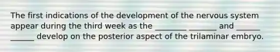 The first indications of the development of the nervous system appear during the third week as the ________ _______ and ______ ______ develop on the posterior aspect of the trilaminar embryo.