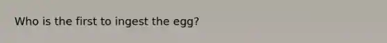 Who is the first to ingest the egg?