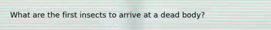 What are the first insects to arrive at a dead body?