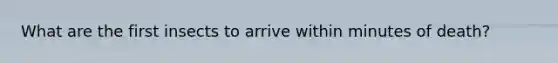 What are the first insects to arrive within minutes of death?