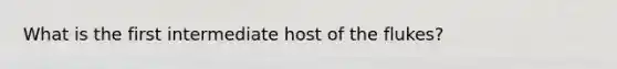 What is the first intermediate host of the flukes?