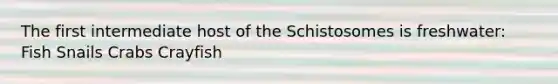 The first intermediate host of the Schistosomes is freshwater: Fish Snails Crabs Crayfish