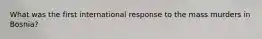 What was the first international response to the mass murders in Bosnia?