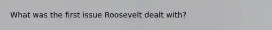 What was the first issue Roosevelt dealt with?