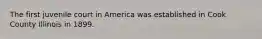 The first juvenile court in America was established in Cook County Illinois in 1899.