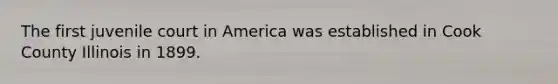 The first juvenile court in America was established in Cook County Illinois in 1899.