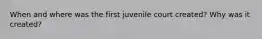 When and where was the first juvenile court created? Why was it created?