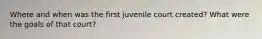 Where and when was the first juvenile court created? What were the goals of that court?