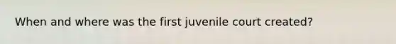 When and where was the first juvenile court created?