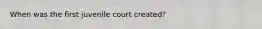 When was the first juvenile court created?