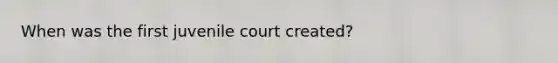 When was the first juvenile court created?