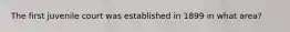 The first juvenile court was established in 1899 in what area?