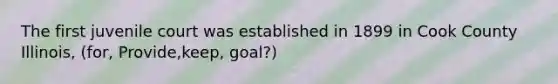 The first juvenile court was established in 1899 in Cook County Illinois, (for, Provide,keep, goal?)