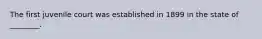 The first juvenile court was established in 1899 in the state of ________.