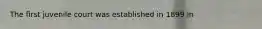 The first juvenile court was established in 1899 in